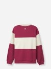 Áo Polo Sweater No Style M36 Vol 24