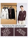 Áo Polo Sweater No Style M37 Vol 24