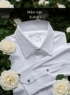 Áo Sơ Mi Trơn Tay Dài Vải Hoa Hồng Kháng Khuẩn Non-Iron 03