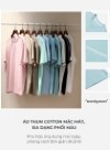 Áo Thun Dáng Vừa Tay Ngắn Seventy Seven 04 Vol 24