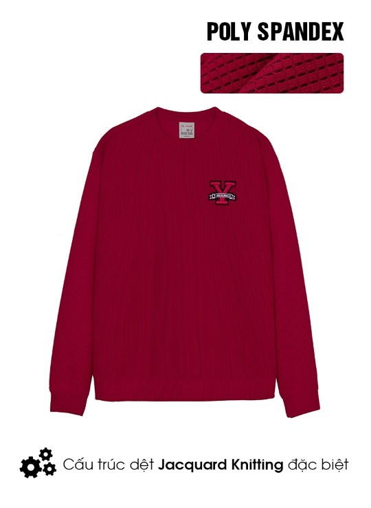 Áo Thun Sweater Đơn Giản Y Nguyên Bản Ver119