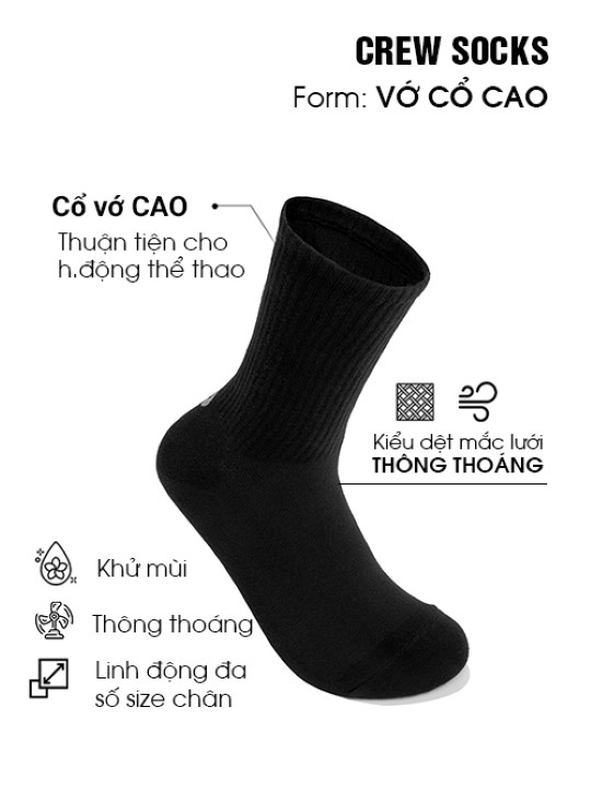 PKTT Vớ #Y2010 V22 Vol 24