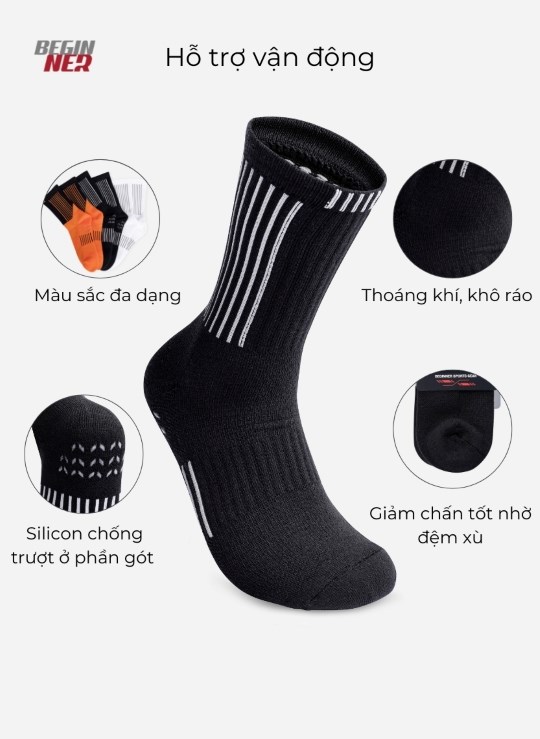 Vớ Thể Thao Beginner 86 Vol 24