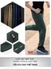 Quần Jogger Dáng Vừa Beginner 08 Vol 24