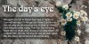 Quần Short 7 Inch Dáng Rộng The Day's Eye 15 Vol 23