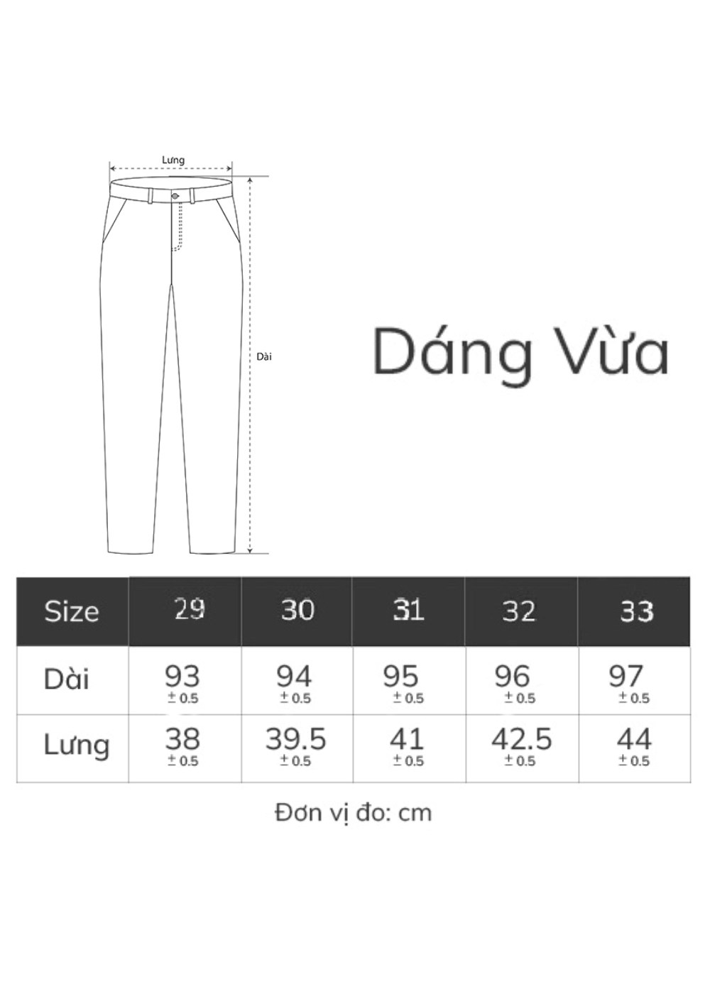 Quần Tây Nam Co giãn Non-Iron 05